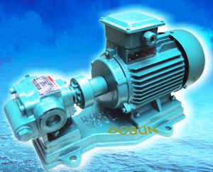 Internal Eccentric Gear Pump