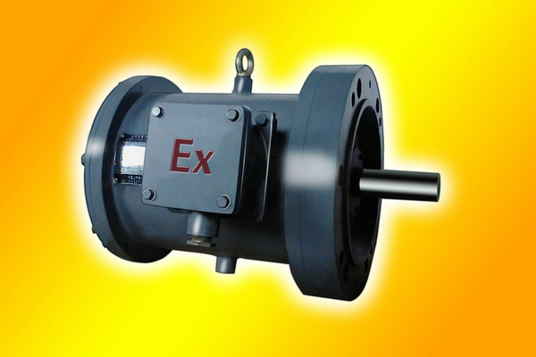 JBZ2-H Series Marine Flameproof Three-phase Asynchronous Motor for Hoisting