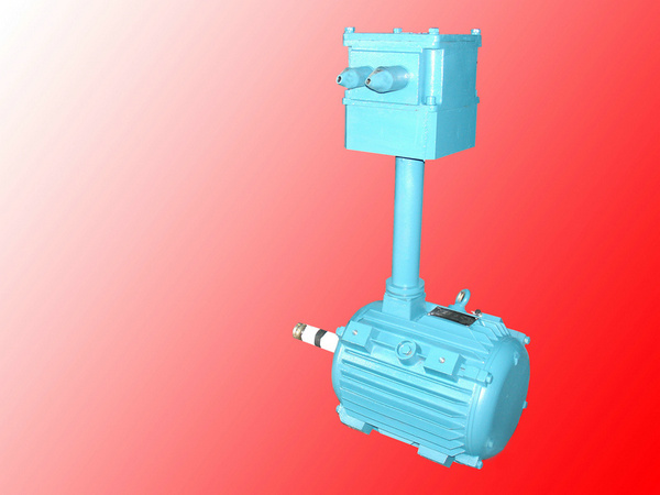YBT-H Series Flameproof Three-phase Marine Asynchronous Motor