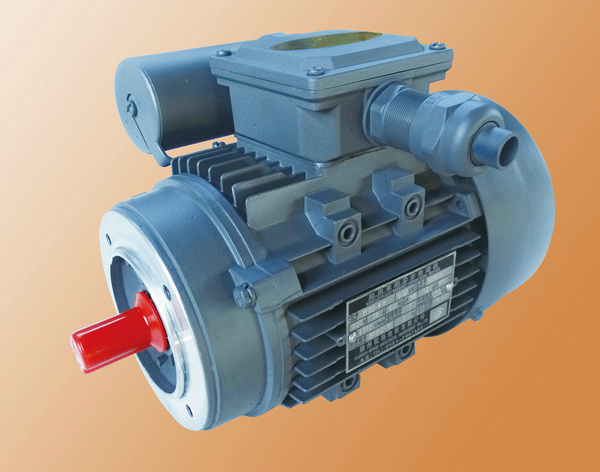 YY-H Series Marine Single-phase Capacitor Start Capacitor Run Asynchronous Motor 