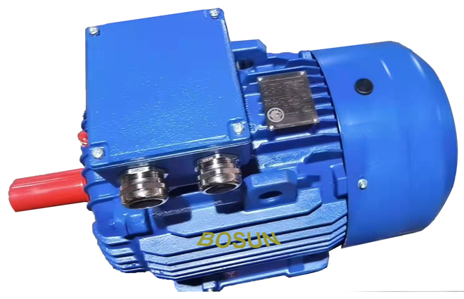 Customized Motor