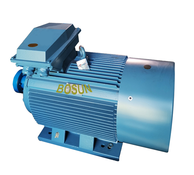 Electric Motor for Cargo Pump