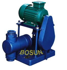 Plunger Pump