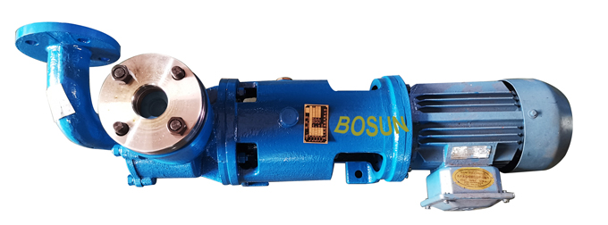Vortex Pump
