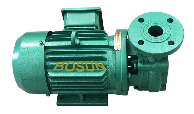 Sewage Pump